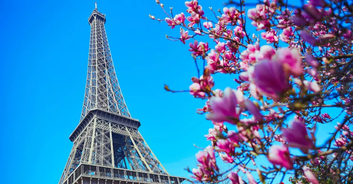 40 + Instagram Captions For France