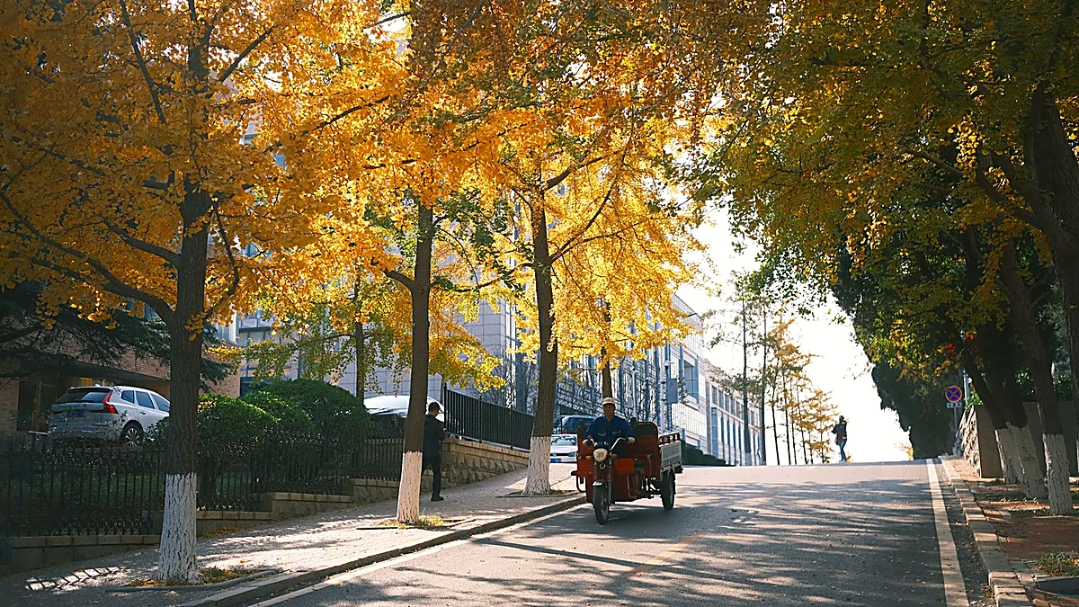 Visiting Cities in the Fall: Cheap Hotels and Zero Lines
