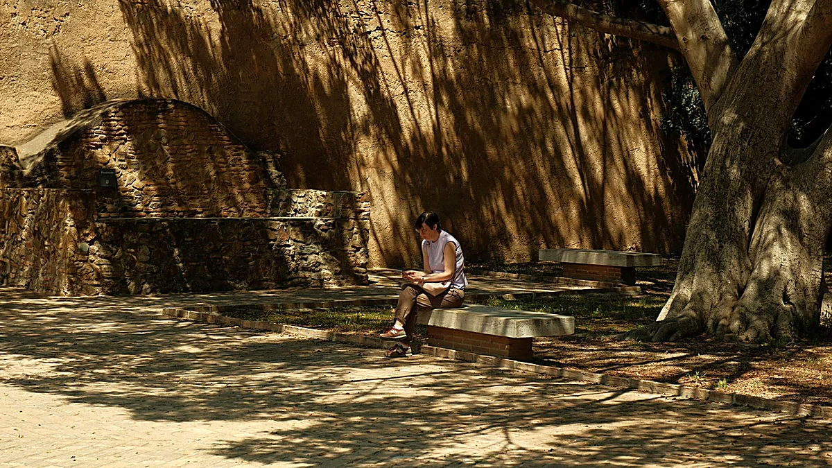 Quiet Places in Big Cities: Peaceful Parks, Bookshops, and Stone Courtyards